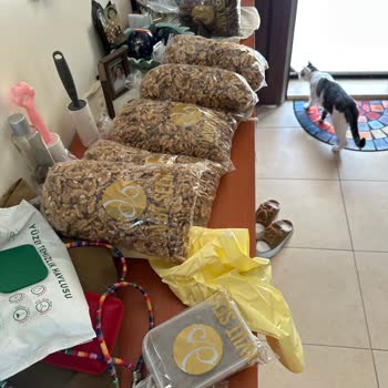 Mazotla Ziyan Olan Gıda Ürünleri: Taşıma Skandalı!