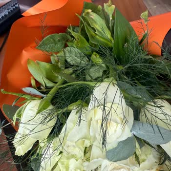 Taze Çiçek | Tazecicek.com Solmuş Ve Çürük Çiçekler: Hayal Kırıklığı