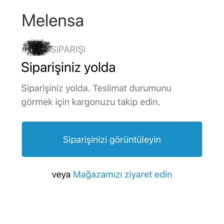 Sipariş Verdim, Elbisem Hâlâ Gelmedi
