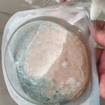 Gıda Güvenliği Sorunu: Küflü Hindi Füme Ürünü