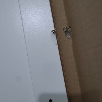 IKEA'dan Aldığım Dolapların Hasarlı Gelmesi Ve Değişim Sürecindeki Sorunlar