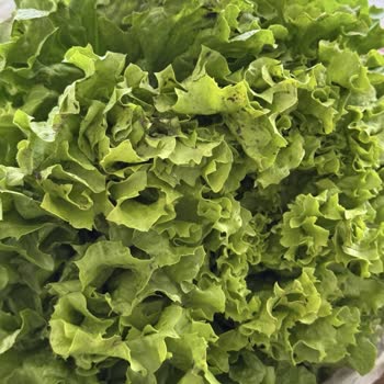 Çürük Ürünler Ve Eksik Teslimat Sonrası Müşteri Hizmetleri Sorunu