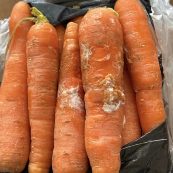 Çürük Ürünler Ve Eksik Teslimat Sonrası Müşteri Hizmetleri Sorunu