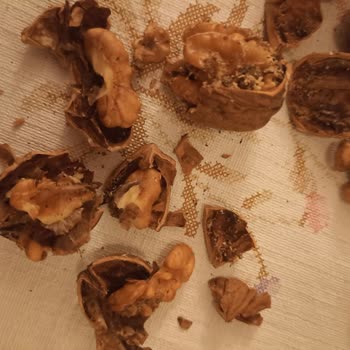 A101 Kapıda Uygulamasında Hayal Kırıklığı: Çürük Cevizler