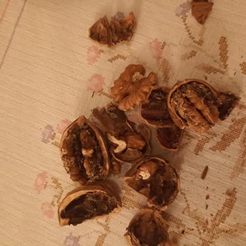 A101 Kapıda Uygulamasında Hayal Kırıklığı: Çürük Cevizler