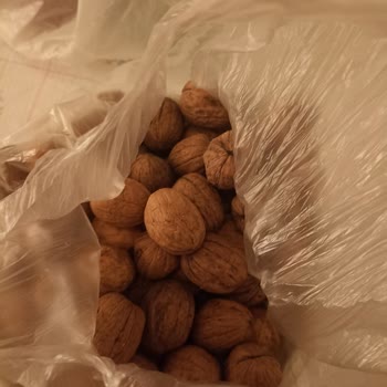 A101 Kapıda Uygulamasında Hayal Kırıklığı: Çürük Cevizler