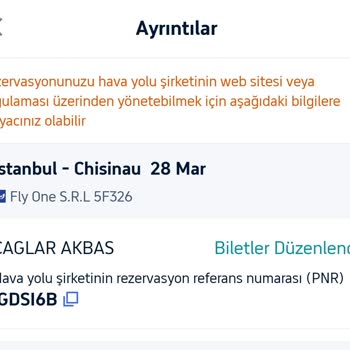 Online Check-in Sorunu Yüzünden Kaçırılan Uçuş