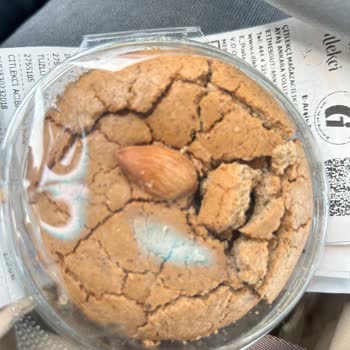 Bayat Ürün Ve Yetersiz Müşteri Hizmeti