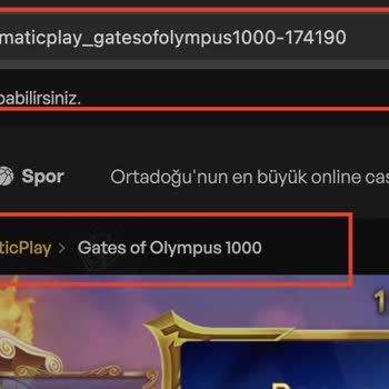 Casino Levant'ın Sahte Sağlayıcıları Ve Aldatıcı Kazanç Oranları