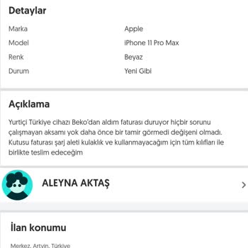 Güvenli Alışverişte Yaşanan Sorunlar