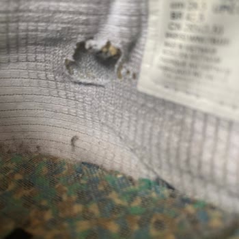 Nike Ayakkabının Etiket Bölgesindeki Yırtılma Ve Yetersiz İnceleme Süreci
