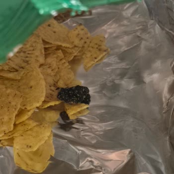 BİM'den Aldığımız Cipsin İçinden Çıkan Şaşırtıcı Yabancı Madde!