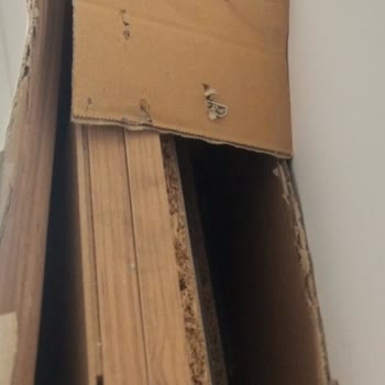 A101 Ve Kargo Şirketi İle Yaşanan Teslimat Ve Ürün Hasarı Sorunu