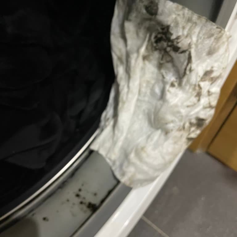 Electrolux Çamaşır Makinesi Körük Lastiği Sorunu