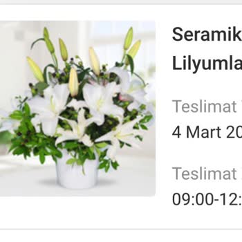 Yanıltıcı Çiçek Siparişi Ve Müşteri Memnuniyetsizliği