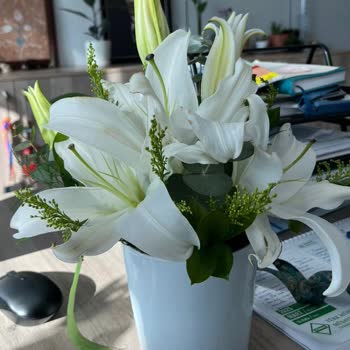 Yanıltıcı Çiçek Siparişi Ve Müşteri Memnuniyetsizliği