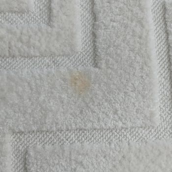 Mine Halı Yıkama'da Hayal Kırıklığı Ve Saygısız Hizmet!