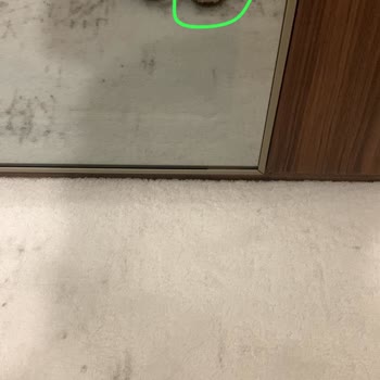Kullanılmış Ayakkabı Mağduriyeti