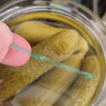 BİM'den Aldığımız Turşu Kavanozundan Çıkan Şaşırtıcı İp