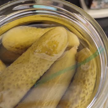 BİM'den Aldığımız Turşu Kavanozundan Çıkan Şaşırtıcı İp