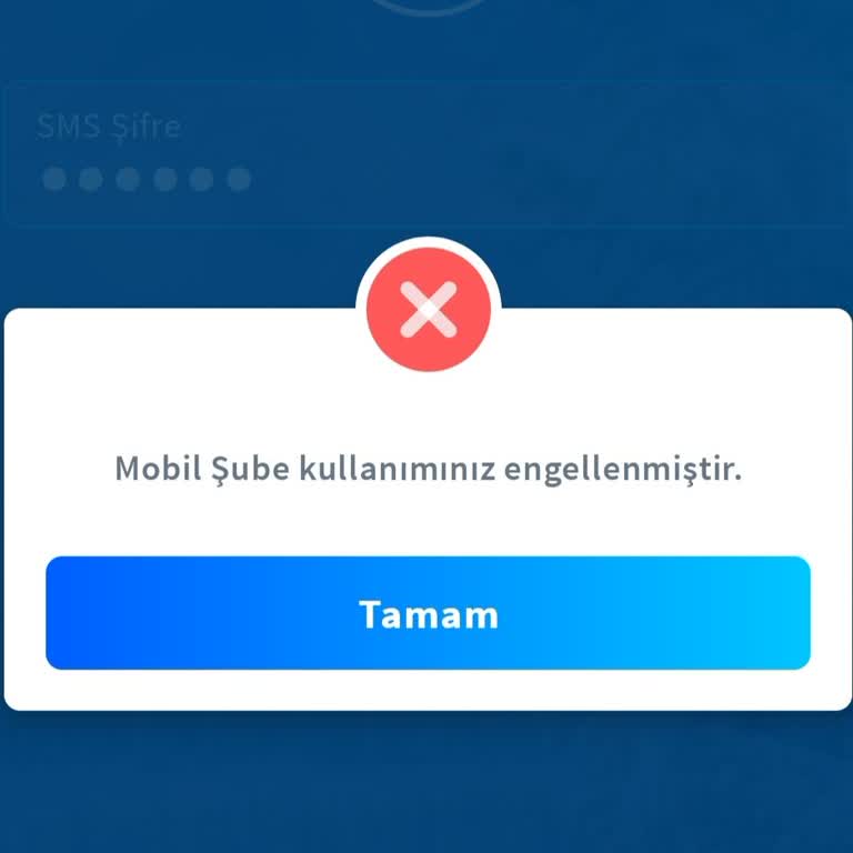 Halkbank Mobil Şube Erişim Engeli Ve Borç Ödeme Sorunu