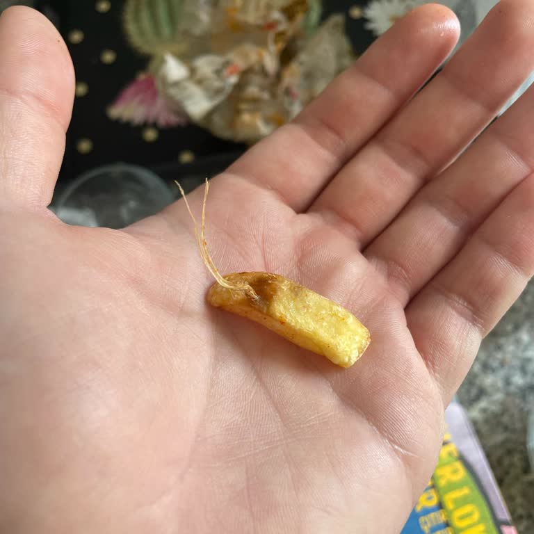 Migros Yemek Ve Cajun Corner'dan Hayal Kırıklığı