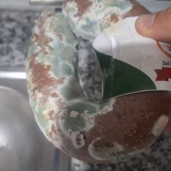 Kayalı Tarım Koop Market Kusurlu Üründe Değişim Sorunu