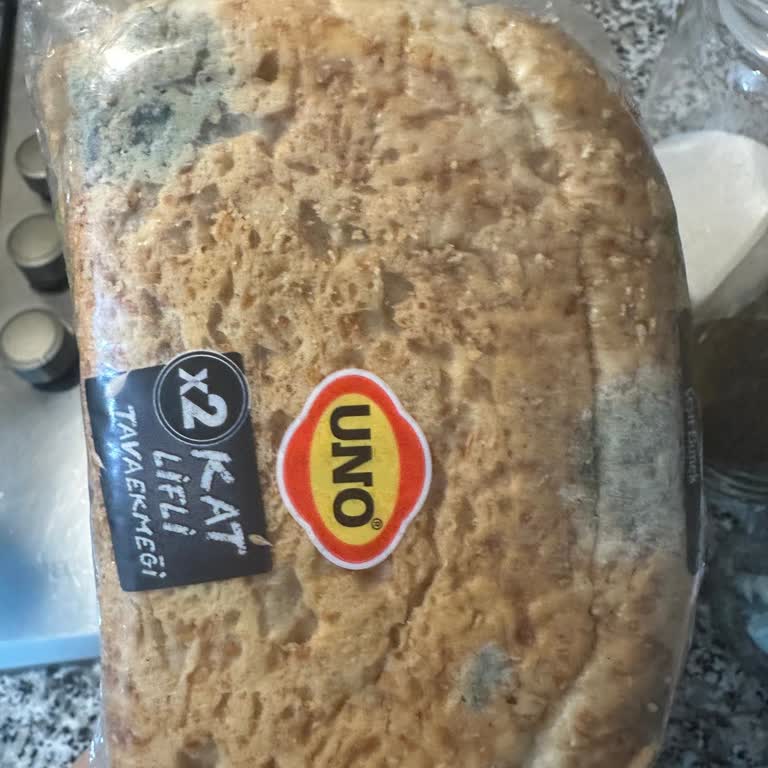 Küflenmiş Ekmek Ve İletişim Sorunları