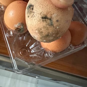 Migros Sanal Market'te Sürekli Sorunlar Ve İade Sorumsuzluğu