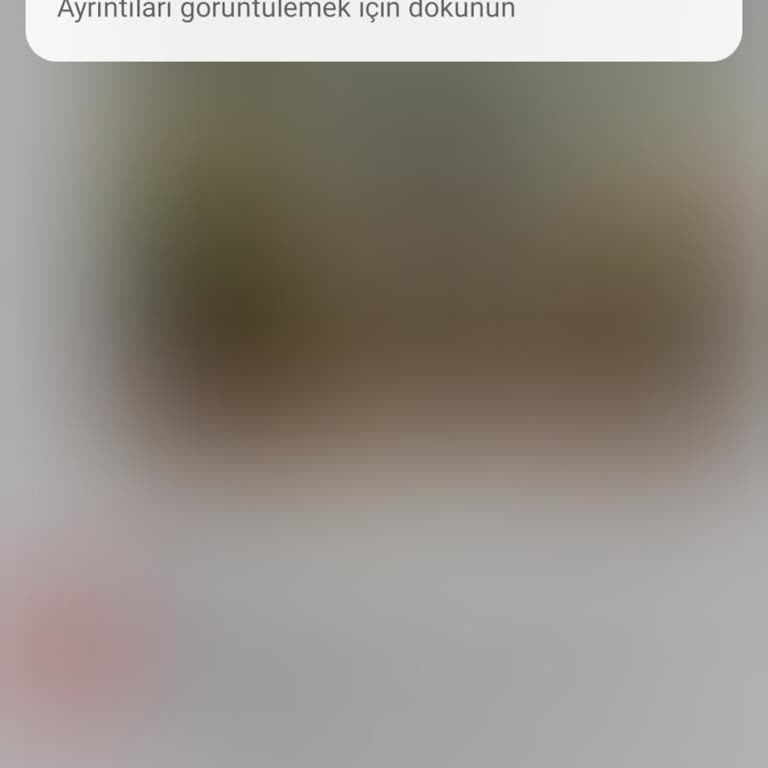 Süper Box'ta Sürekli Kesinti Ve İade Sorunu