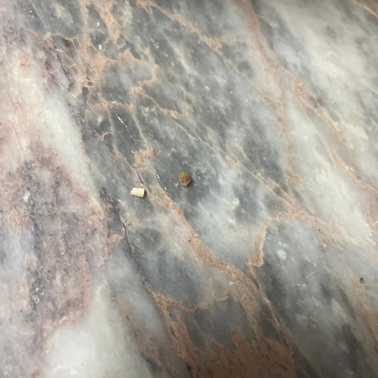 Kıymada Kemik Ve Sinir Skandalı