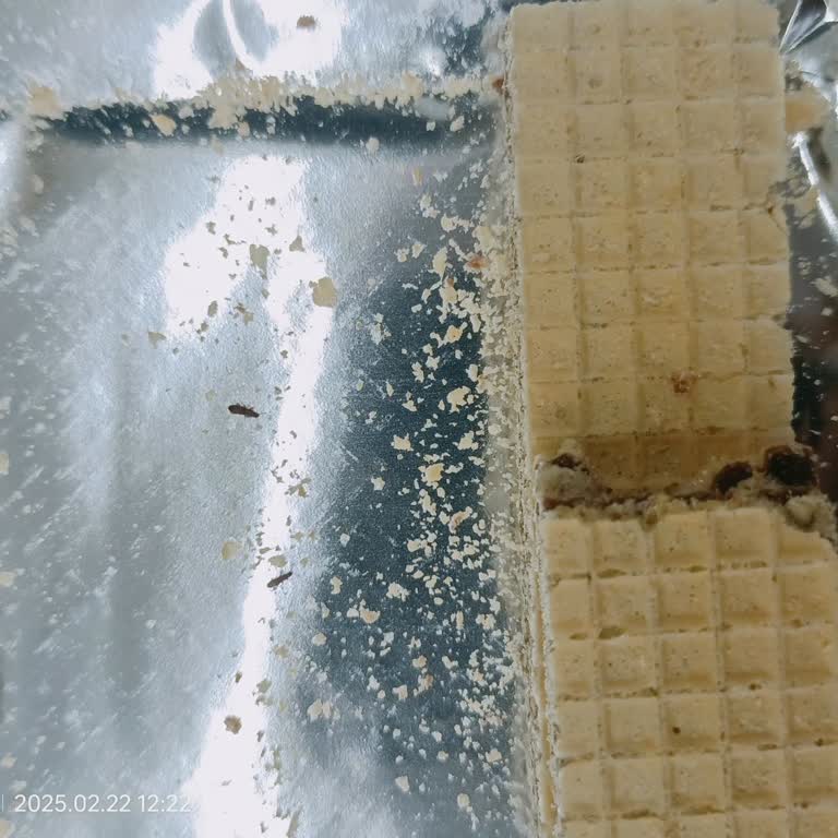 Migros Sanal Market Siparişimde Böceklenme Sorunu