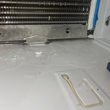 Bosch Buzdolabı: Sürekli Arıza Kabusu