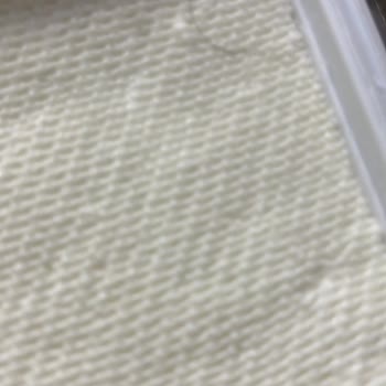 Yörükoğlu Beyaz Peynirde Hijyen Sorunu