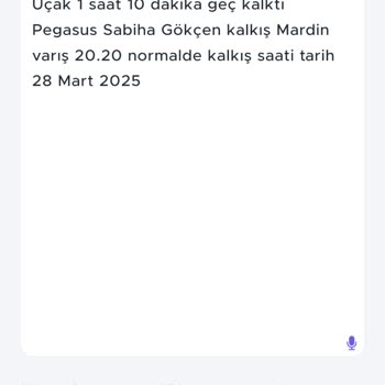 Pegasus İle Sürekli Gecikme Sorunu