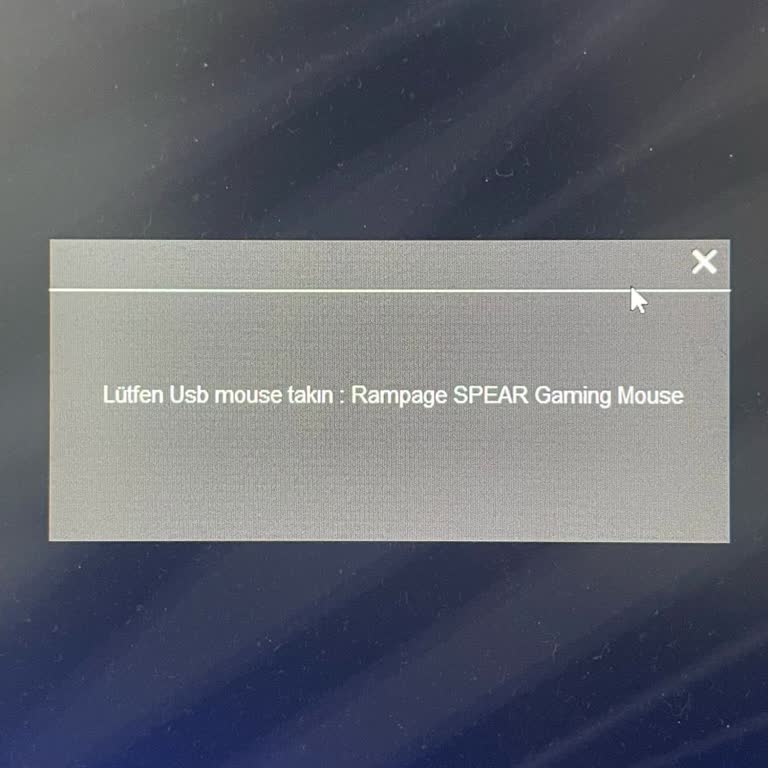 Yeni Mouse'un USB Tanıma Sorunu