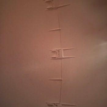 Kiwi Marka Kedi Tuvaleti Sorunu Ve Servis İletişimsizliği