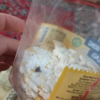 Pirinç Patlağında İstenmeyen Sürpriz