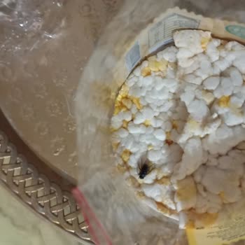 Pirinç Patlağında İstenmeyen Sürpriz