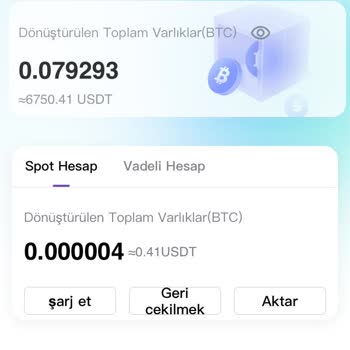 Opsiyon İşlemlerinde Yaşanan Sorunlar