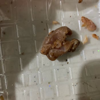 Çiğ Et Parçaları İçeren Piliç Döner Sorunu