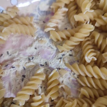 Güvendiğimiz Markanın Makarna Skandalı: Böcek Ve Kurtlarla Karşılaştık!