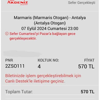 Tahta Kurusu Kabusu: Yolculukta Böcek İstilası