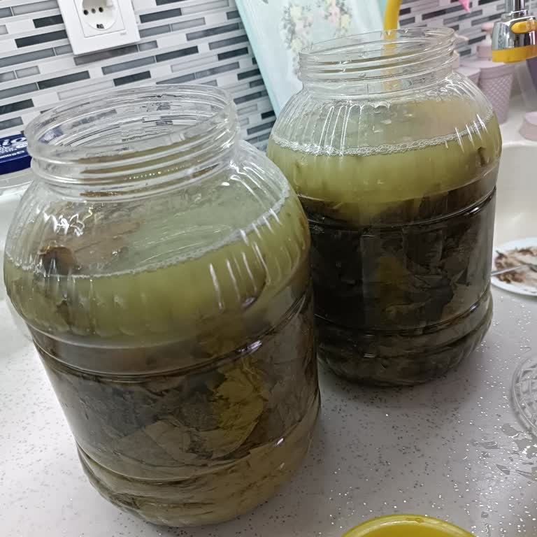 Köy Mahsulleri Sayfasından Aldığım Yapraklar Tam Bir Hayal Kırıklığı