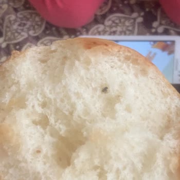 BİM'den Alınan Poğaçanın İçinden Sinek Çıktı