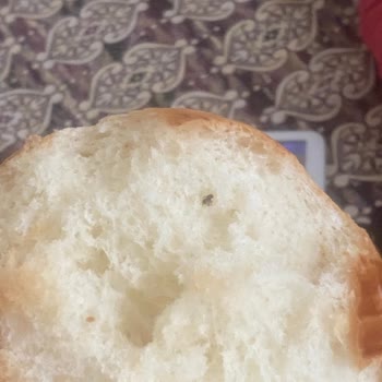 BİM'den Alınan Poğaçanın İçinden Sinek Çıktı