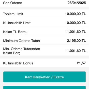 Ödenen Kredi Kartı Borcunun Hâlâ Görünmesi Sorunu
