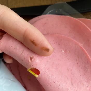 Polonez Et Ürünleri Salamda Şok Eden Kalitesizlik