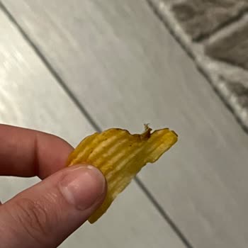 Yanık Ve Bozulmuş Cips Deneyimi