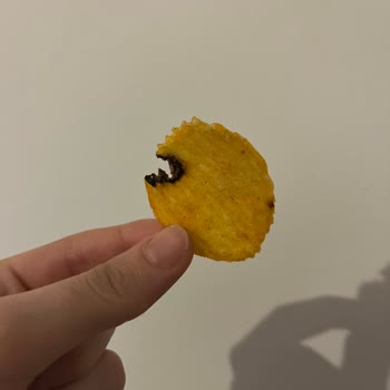 Yanık Ve Bozulmuş Cips Deneyimi
